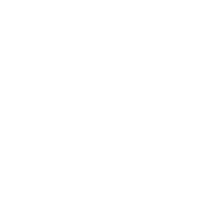 Piggy Bank by Waldiz Production from Noun Project