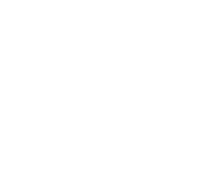 in haus logo